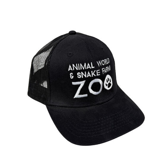 Charcoal Trucker Mesh Cap - Black