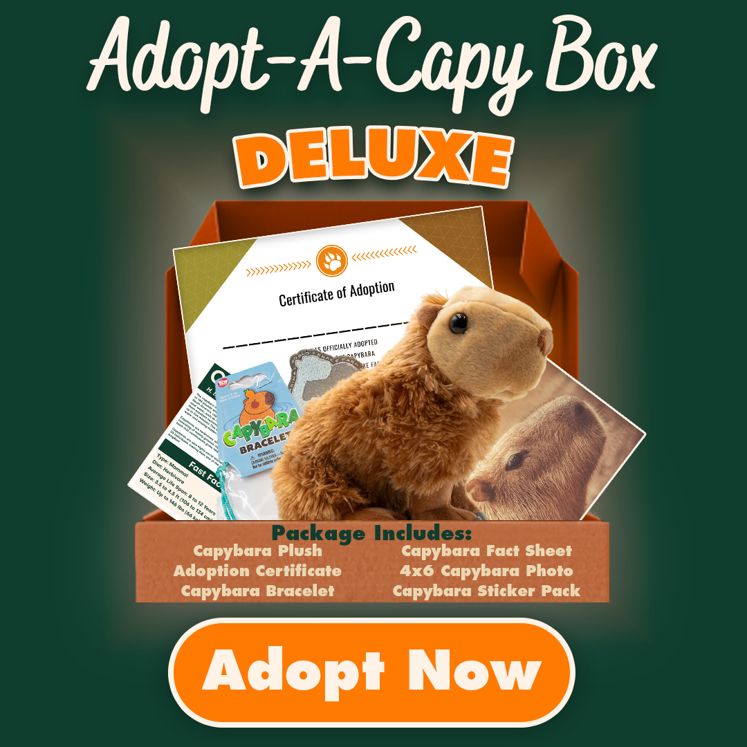 Adopt-A-Capybara