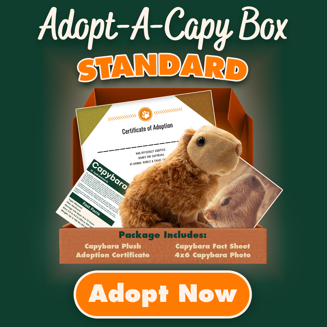Adopt-A-Capybara