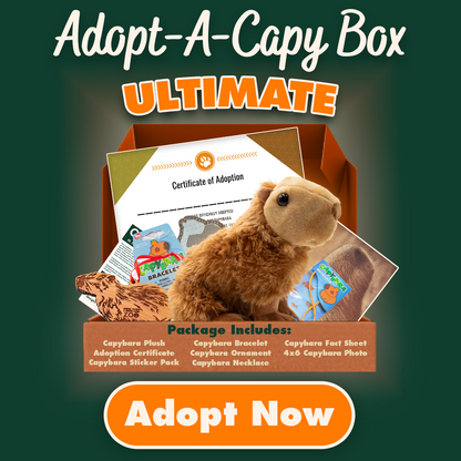Adopt-A-Capybara