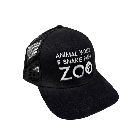 Charcoal Trucker Mesh Cap - Black