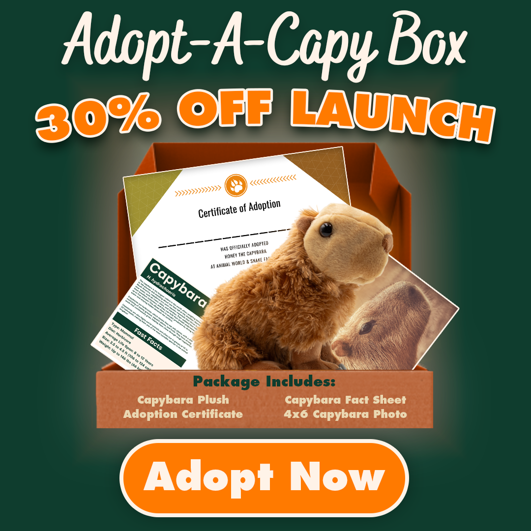 Adopt-A-Capybara
