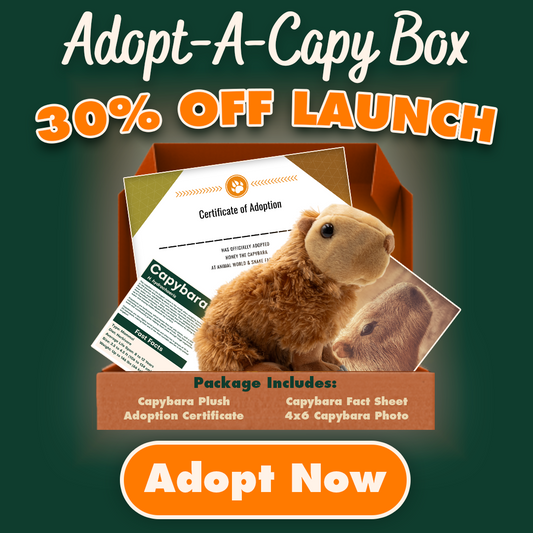 Adopt-A-Capybara