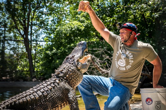 Alligator Adoption Gift Package